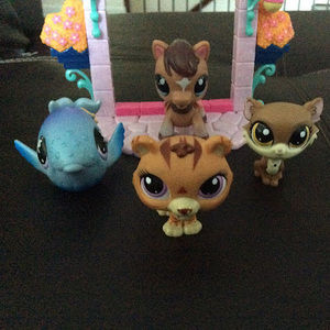 Meet your Posher, Narrowbunnylover2008